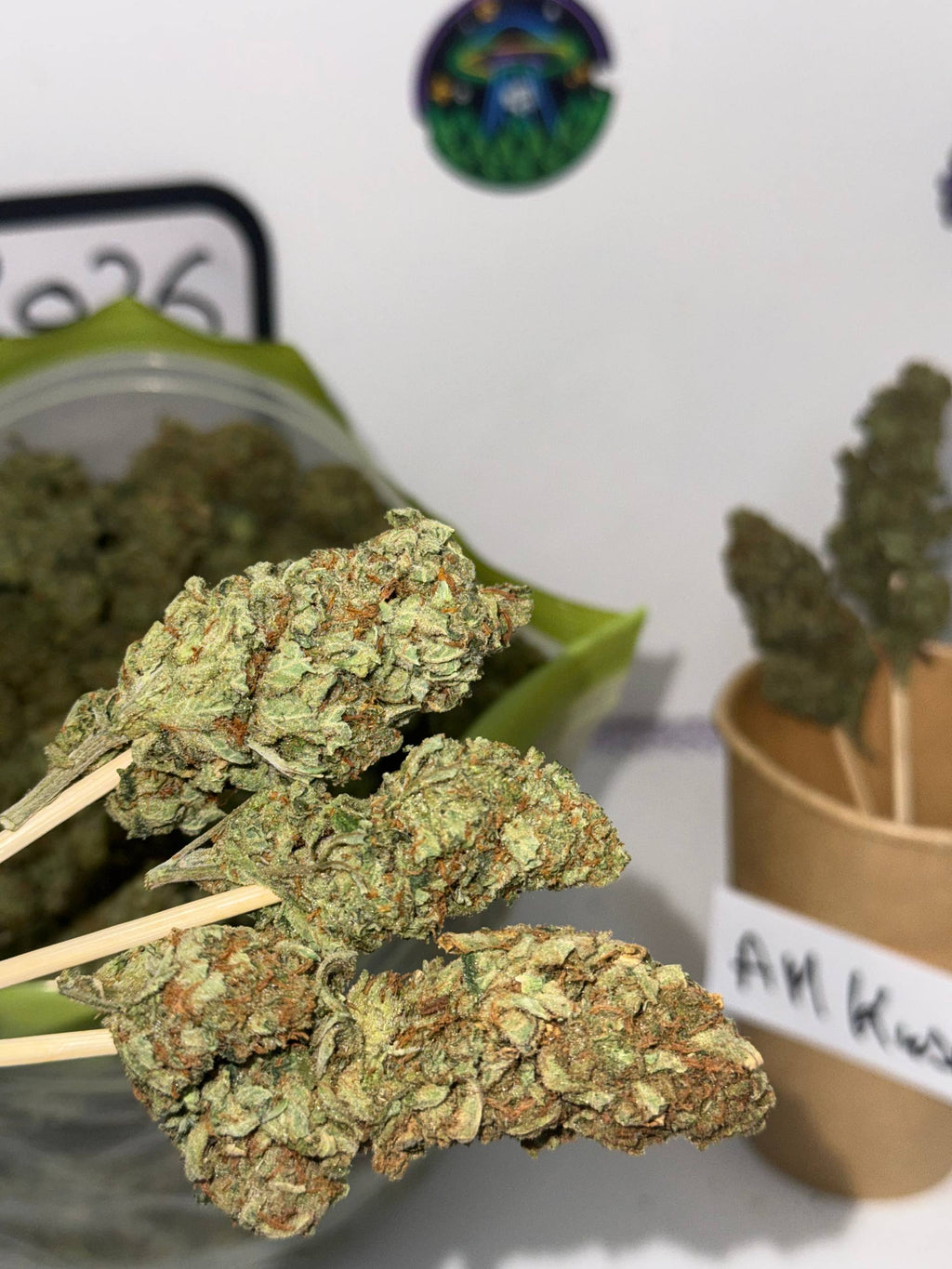 ⚡⚡ A.M KUSH ⚡⚡