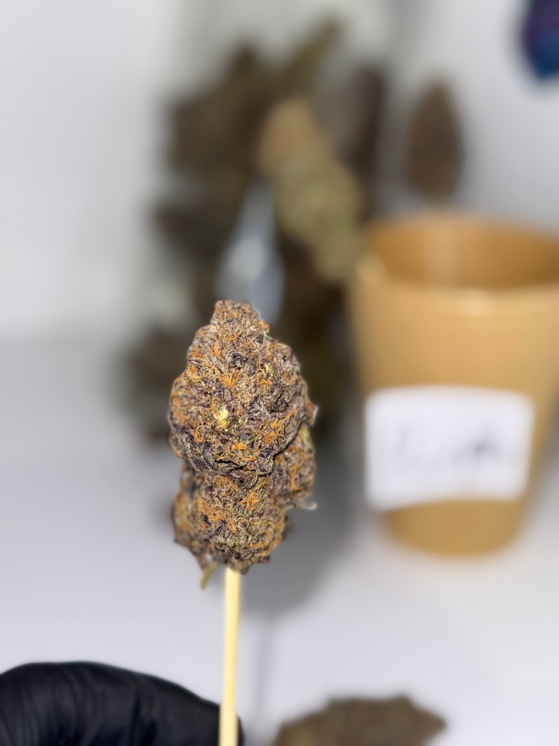 🪦PURPLE PIE 💀🔥CALI