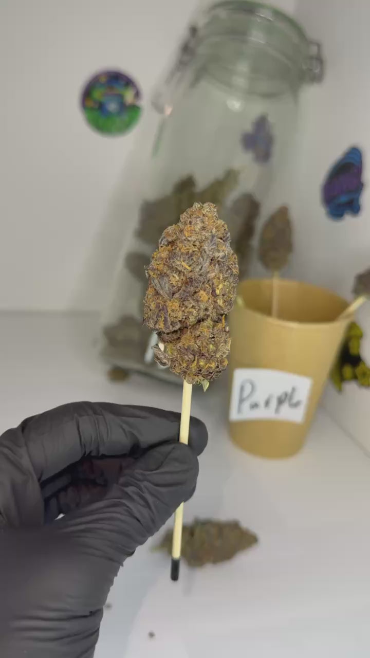 🪦PURPLE PIE 💀🔥CALI
