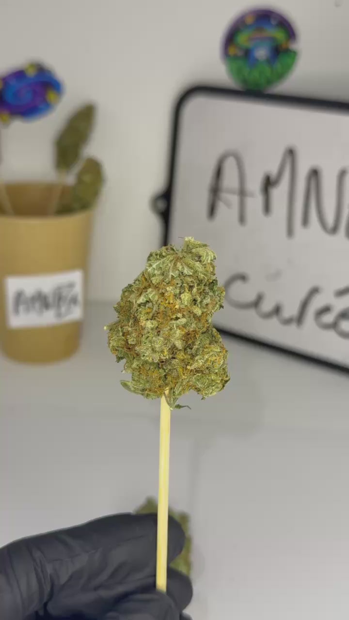 🔥💥AMNXZIA🪦⚡️
