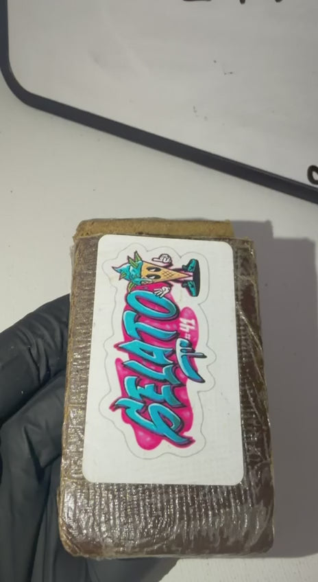 💥 GELATO 💫