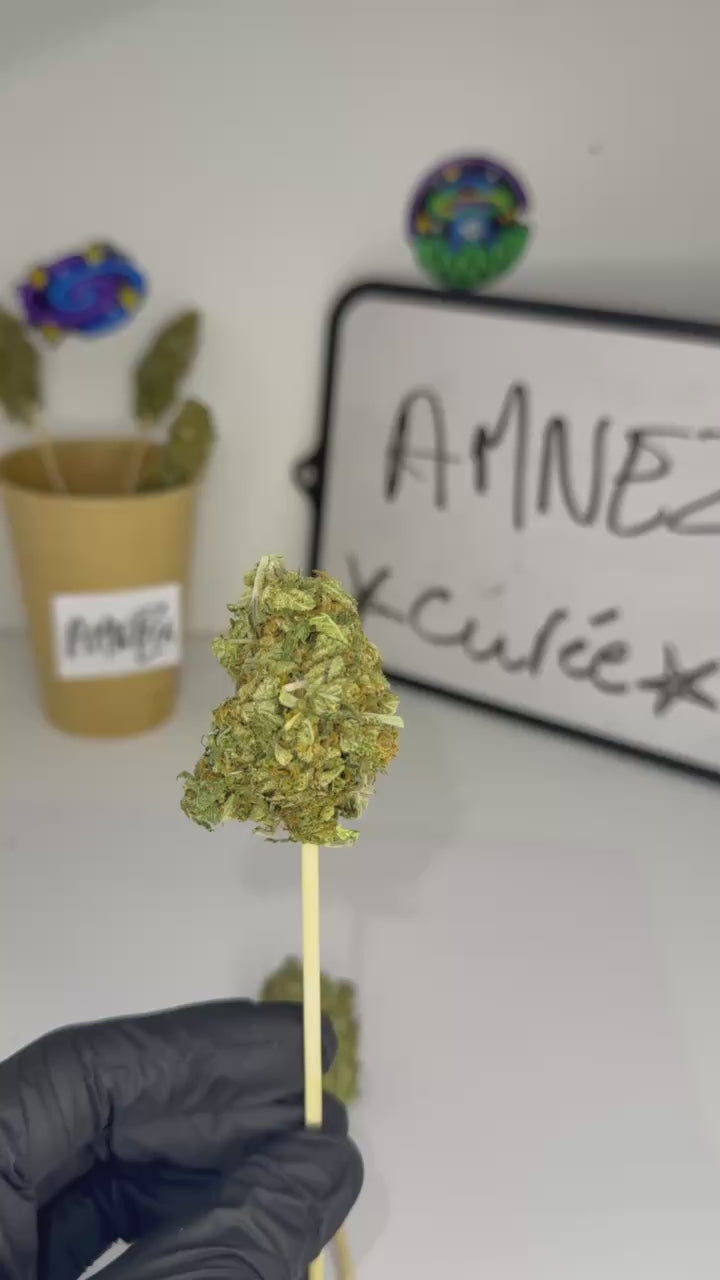 🔥💥AMNXZIA🪦⚡️