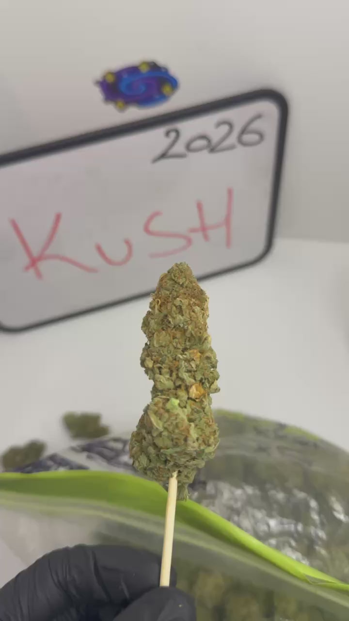 ⚡⚡ A.M KUSH ⚡⚡